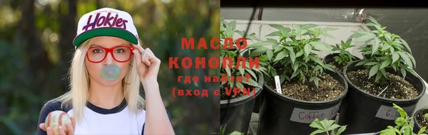 шишки Покачи